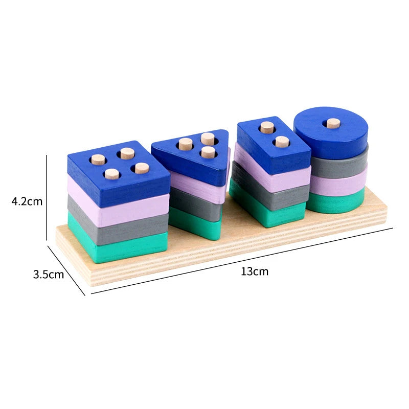 WT312 Color Montessori Wooden Shape Sorting Blocks Puzzle Toy